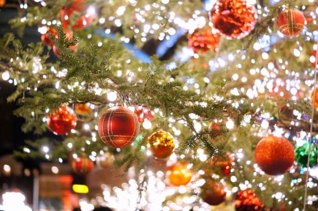 クリスマスとクリスマスイブどっちが大事か考えながら見ているクリスマスツリー
